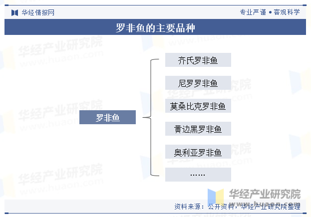 2023年中国罗非鱼行业养殖产量、苗种数量、加工量、政策及重点企业分析「图」