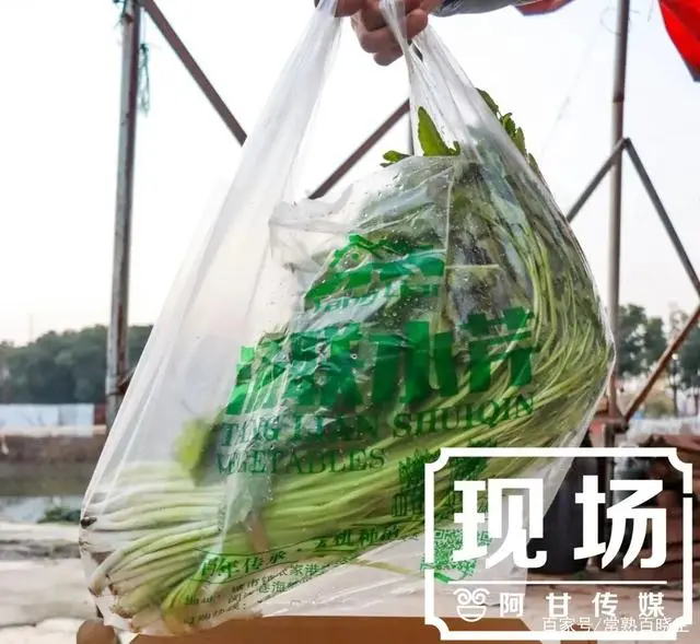 种植水芹菜能赚钱吗_汉中种植水芹致富_陕西汉中种植什么水果