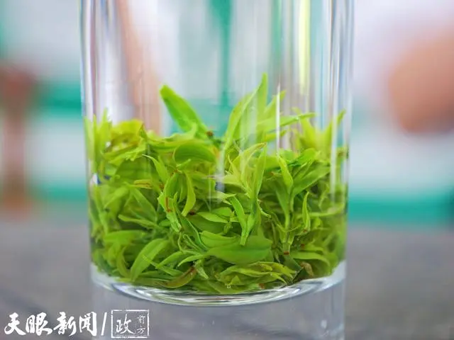 泰和种植致富故事_泰和种植致富故事_泰和种植致富故事