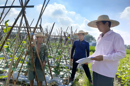 广西工商职业技术学院：探索产业发展道路 构建乡村振兴新模式