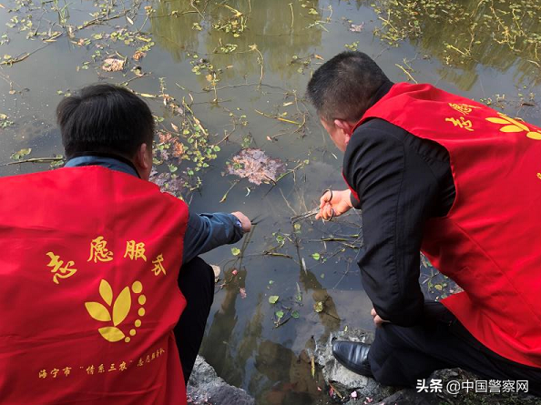 致富经黄鳝养殖技术_每日农经养黄鳝_每日农经致富经黄鳝6