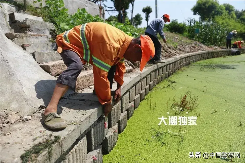 致富经黄鳝养殖技术_每日农经致富经黄鳝6_每日农经养黄鳝