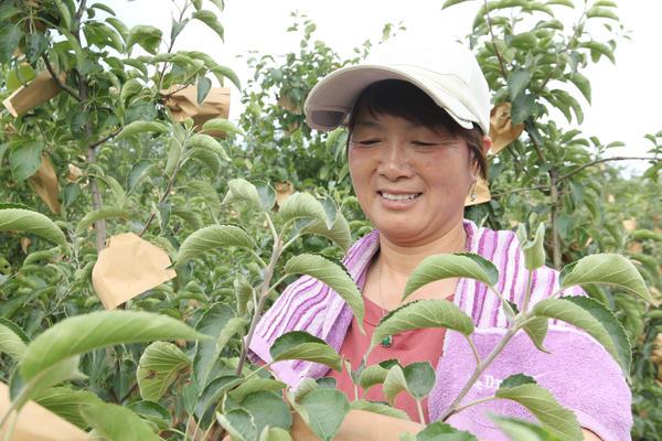 致富枣种植长什么样子_长枣种植致富_枣的种植前景如何