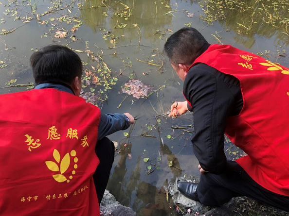 每日农经养黄鳝_致富经黄鳝养殖技术_每日农经致富经黄鳝6