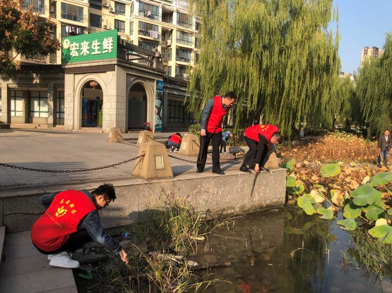 致富经黄鳝养殖_每日农经致富经黄鳝6_致富经稻田养黄鳝视频