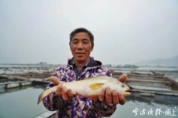 海上网箱养殖补贴政策_新型海上网箱养鱼视频_海上养殖网箱技术视频