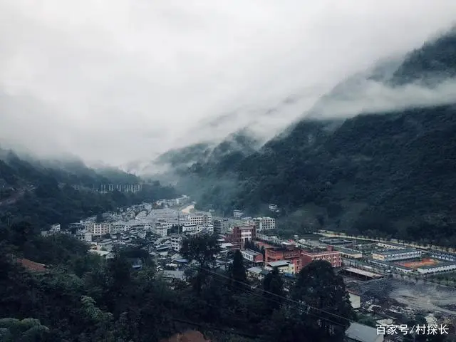 致富茶叶种植家庭视频_种植茶叶赚钱吗_家庭种植茶叶致富