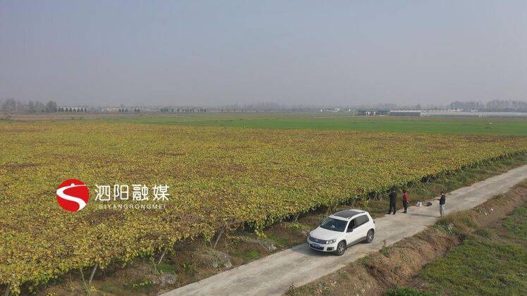 致富经陈娇种植栝楼_致富经陈娇种植栝楼_致富经陈娇种植栝楼