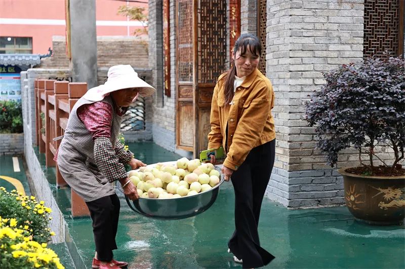 种植红柚致富_红柚怎么种植_红心柚种植成本和利润