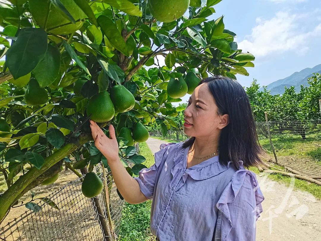 致富养殖业_致富养殖好项目_励志养殖致富项目