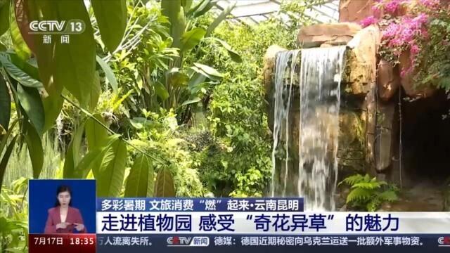 地黄种植致富_牛仔种植致富视频_雷竹笋种植致富案例