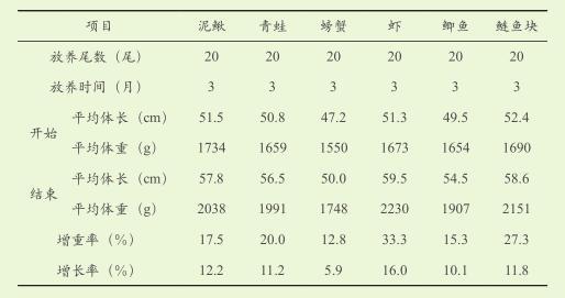 养殖规范大鲵技术要求_养殖规范大鲵技术要点_大鲵养殖技术规范