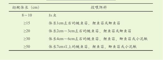 养殖规范大鲵技术要求_大鲵养殖技术规范_养殖规范大鲵技术要点