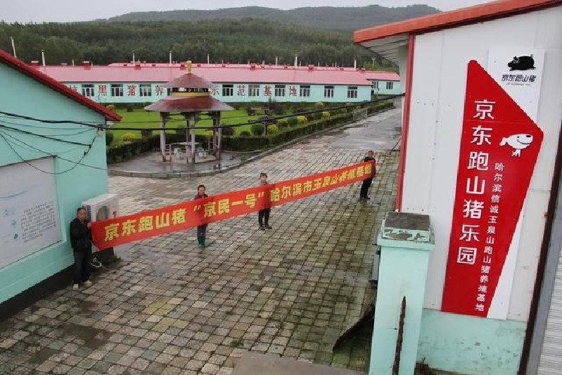 农民养殖致富好项目_农民致富养殖什么_农民种地养殖致富