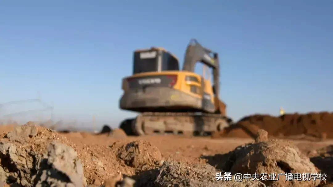 农广天地草莓种植技术视频_农广天地草莓种植全部视频_草莓农广天地