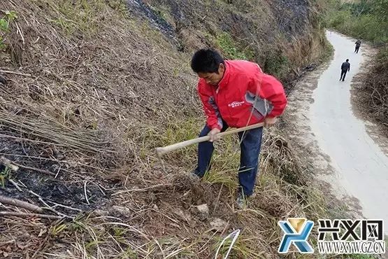 山地种植板栗致富_荒山种板栗_农村山地种植板栗有补贴吗