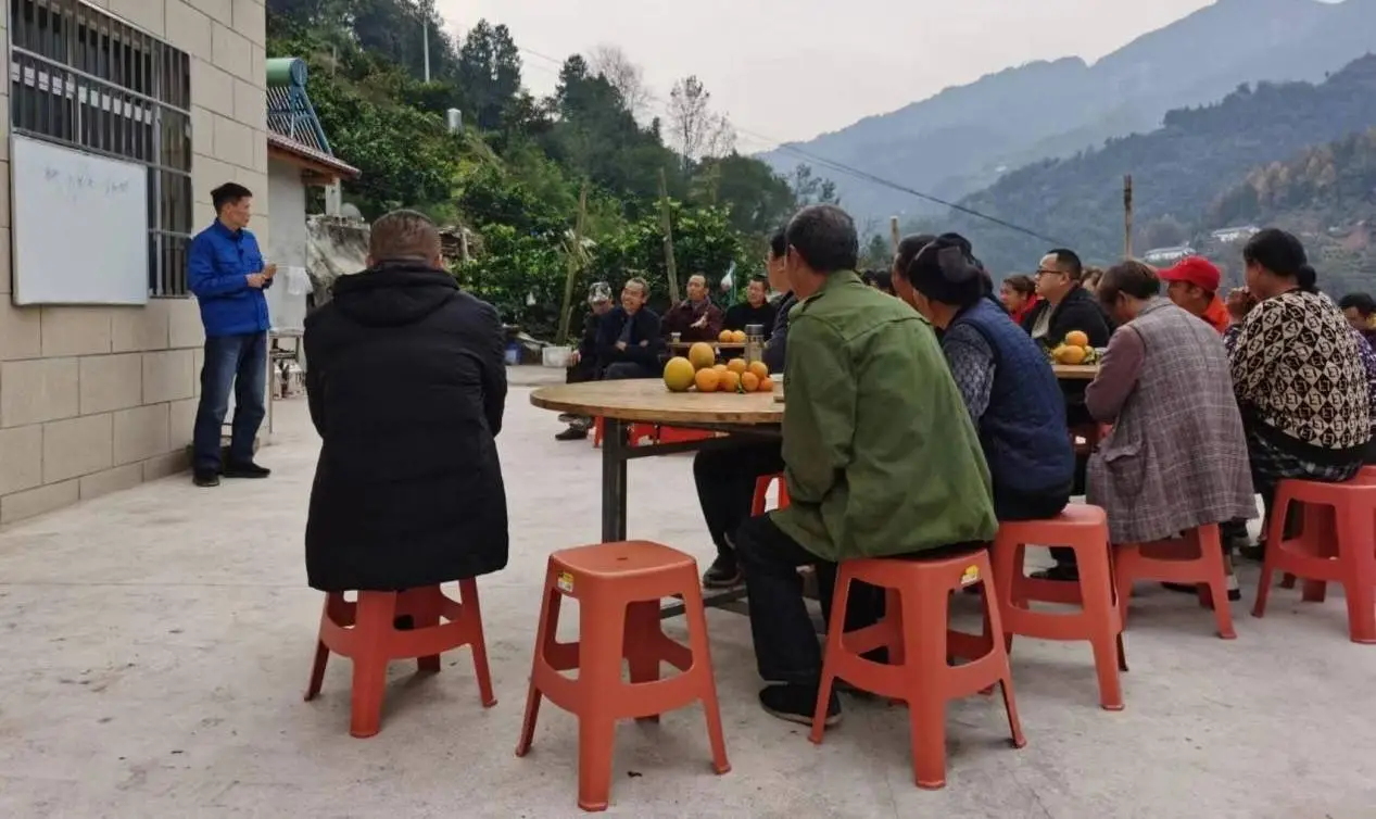 致富种植脐橙图片_致富种植脐橙视频_致富经脐橙种植