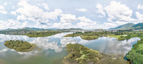 钦州灵山县：生态文明建设绘就荔乡新画卷