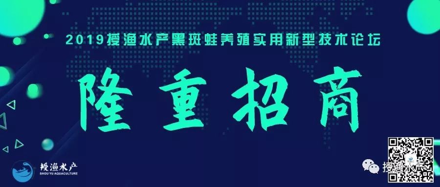 荆州青蛙养殖技术_荆州青蛙养殖技术_荆州青蛙养殖技术