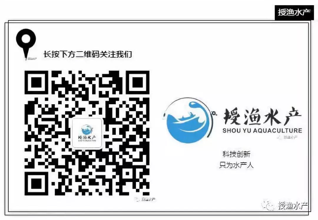 荆州青蛙养殖技术_荆州青蛙养殖技术_荆州青蛙养殖技术