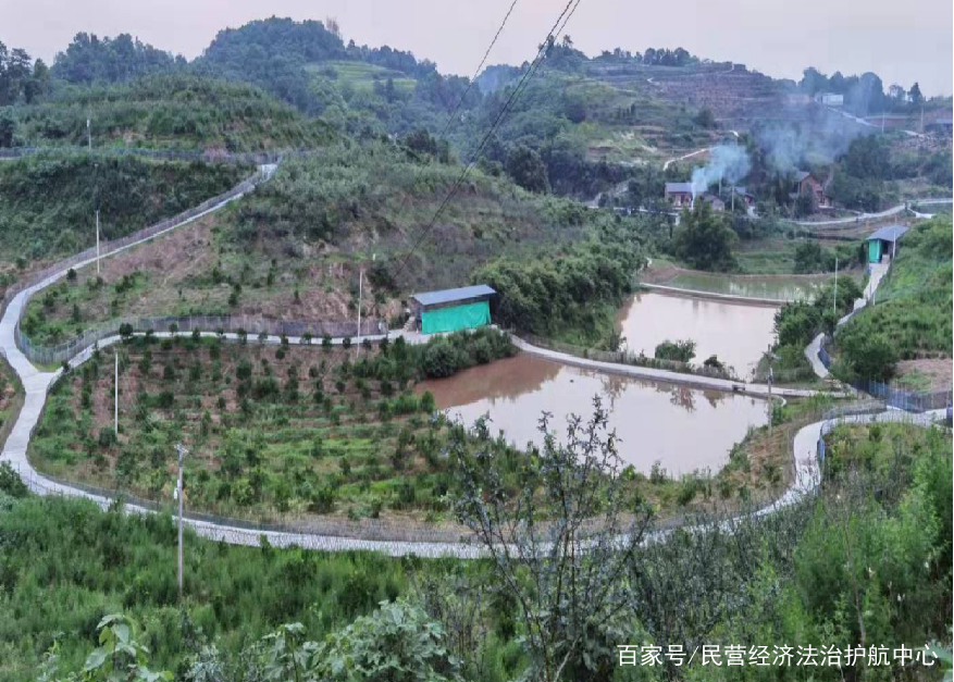 致富种植_致富经育苗土销售_育苗土厂家