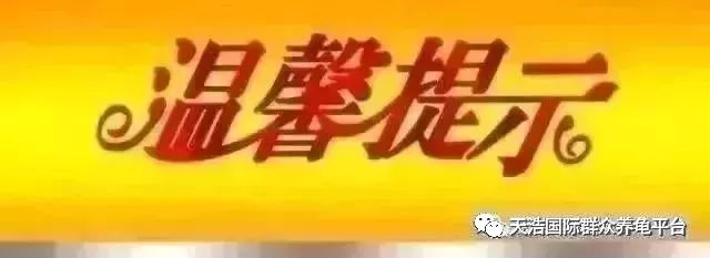 石金钱种龟养殖技术_养石金钱龟合法吗_石金钱龟养法