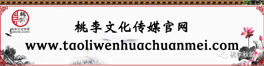 致富经桑葚果_桑葚果子的功效与作用_致富经桑椹果种植