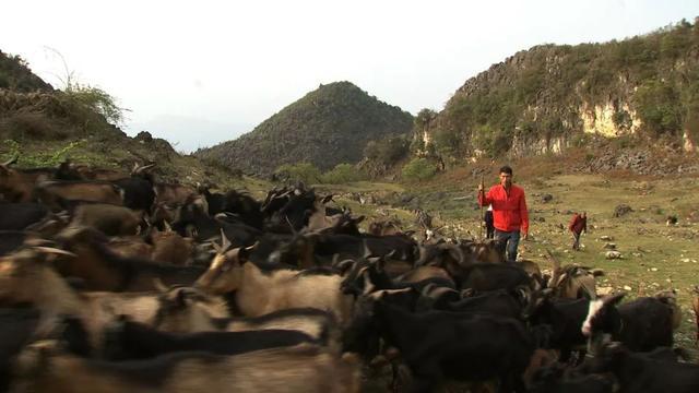 致富经.徐晓兰_致富经.徐晓兰_致富经.徐晓兰