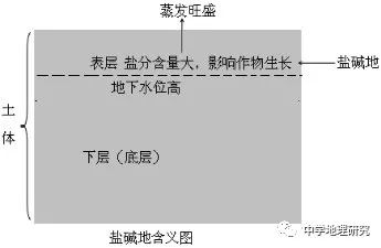 花生薄膜种植技术_薄膜种植花生致富_花生覆膜种植