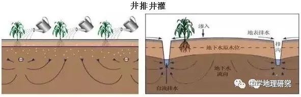 花生薄膜种植技术_花生覆膜种植_薄膜种植花生致富