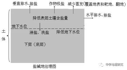 花生薄膜种植技术_薄膜种植花生致富_花生覆膜种植