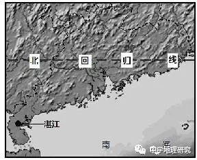 薄膜种植花生致富_花生覆膜种植_花生薄膜种植技术