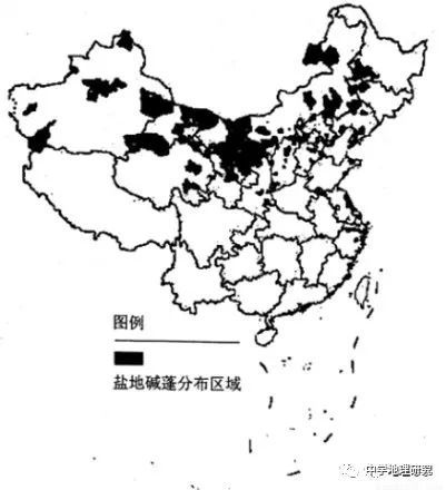 花生薄膜种植技术_花生覆膜种植_薄膜种植花生致富