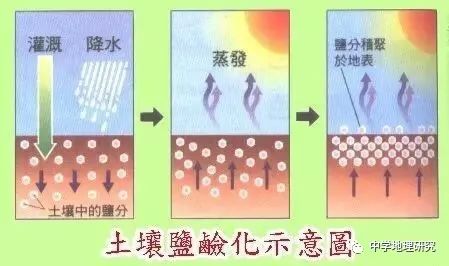 花生薄膜种植技术_花生覆膜种植_薄膜种植花生致富