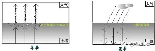 花生薄膜种植技术_薄膜种植花生致富_花生覆膜种植