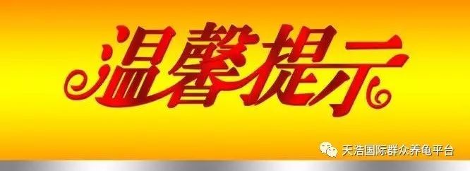 养石金钱龟视频_石金钱龟养殖视频播放_石金钱种龟养殖技术