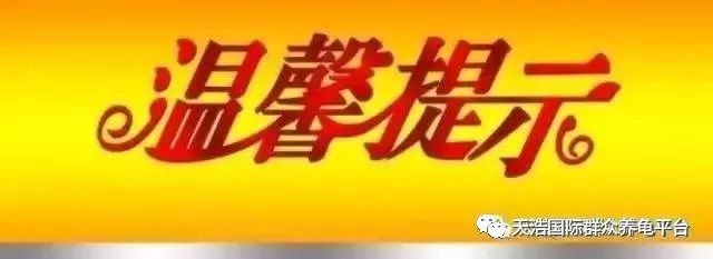 石金钱龟养殖视频播放_石金钱种龟养殖技术_养石金钱龟赚钱吗