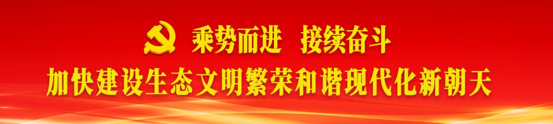 花生种植地膜覆盖视频_薄膜种植花生致富_花生致富薄膜种植方法