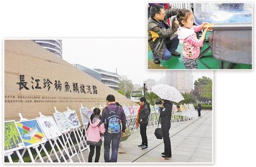 中华鲟鱼养殖视频_中华鲟黄鱼的养殖技术_养殖中华黄鱼鲟技术指标