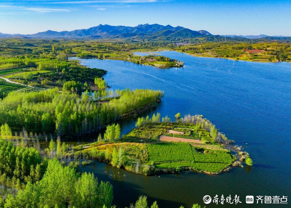 青岛种植致富_山东青岛种植什么作物最多_青岛种植什么农作物