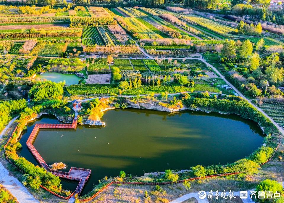 山东青岛种植什么作物最多_青岛种植什么农作物_青岛种植致富