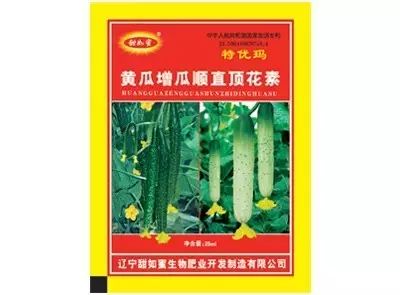 玉女黄瓜种植方法和技术_大棚黄瓜种植技术与管理方法_黄瓜种植技术