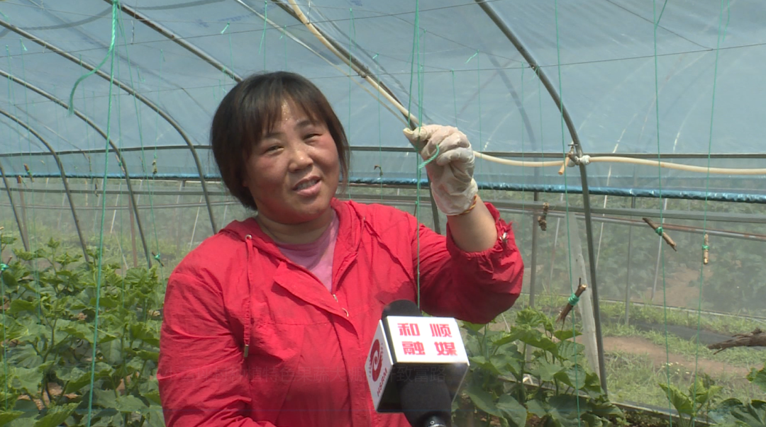 农村种植致富_致富种植什么比较赚大钱_特色种植致富新路线是什么