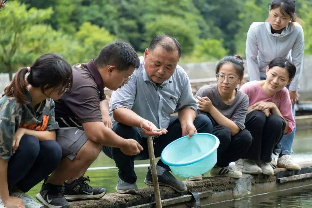 鱼 养殖 致富_致富养鱼视频_致富经养殖鱼视频