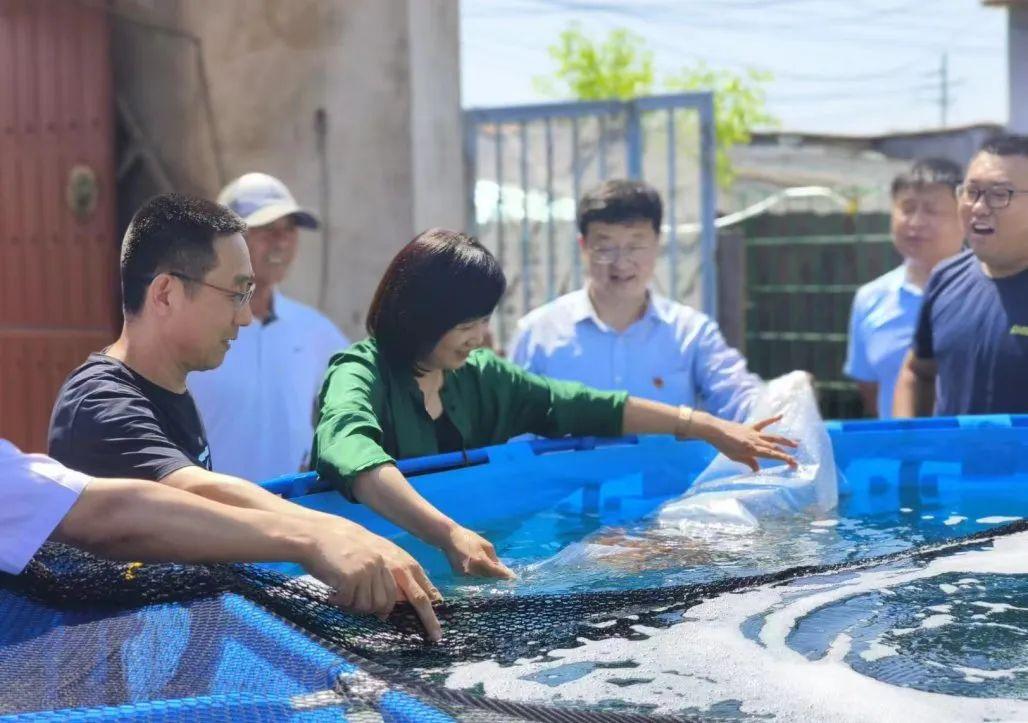 锦鲤养殖_东营锦鲤专卖_东营养殖锦鲤致富新闻事件