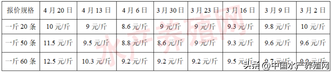 养殖泥鳅成熟技术视频教程_泥鳅养殖技术成熟吗_养殖泥鳅成熟技术有哪些