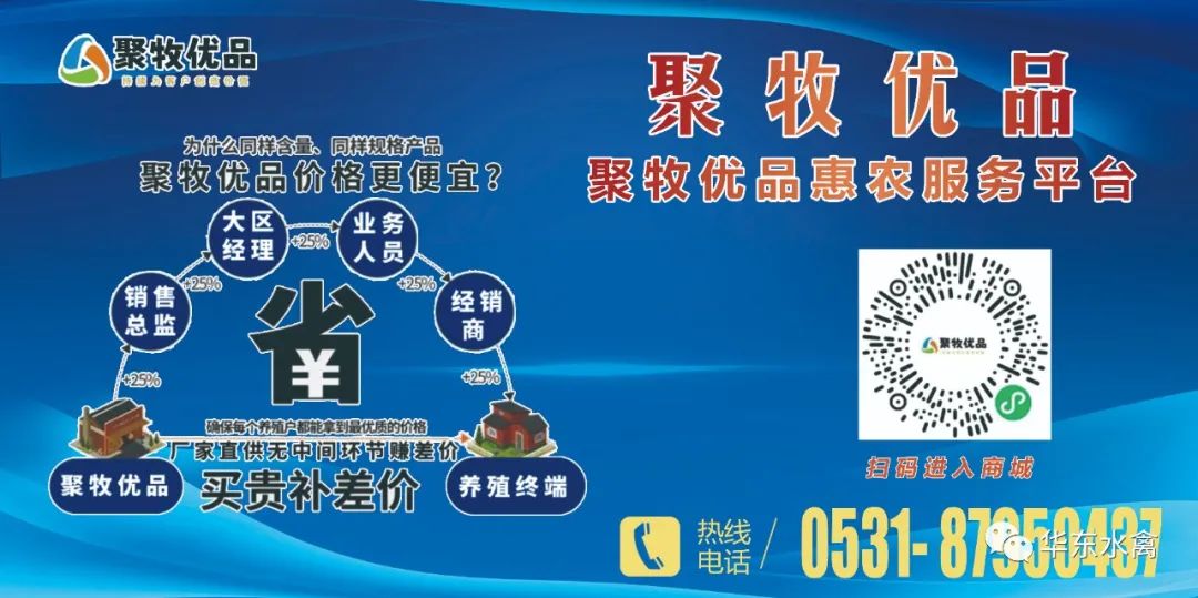 放养肉鸡养殖技术_肉鸡放养公司+农户的模式_养殖放养肉鸡技术要求