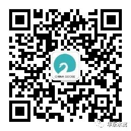 放养肉鸡养殖技术_养殖放养肉鸡技术要求_肉鸡放养公司+农户的模式