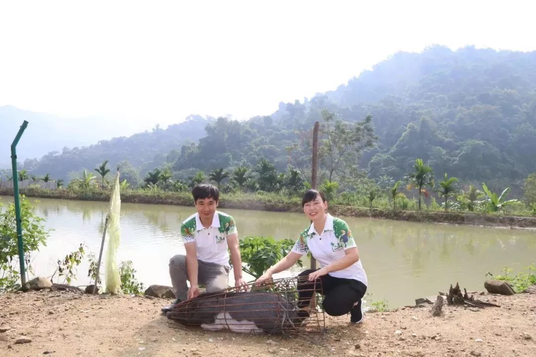 五脚猪致富经_猪脚生意赚钱_致富经猪脚