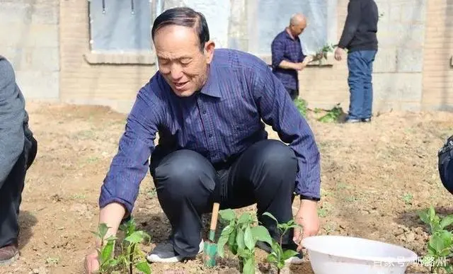 长治市平顺县:野生连翘大棚开启百姓致富新路